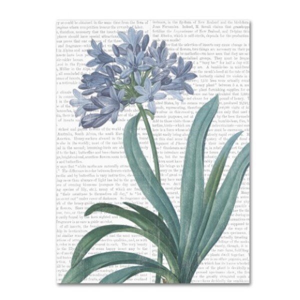 Wild Apple Portfolio 'Summer Botanicals I' Canvas Art, 24x32, Trademark Fine Art, Mfr#: WAP01317-C2432GG